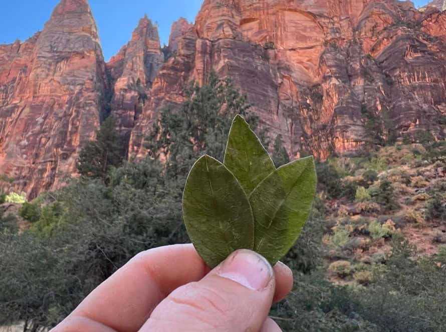 PHOTO 2024 10 01 22 30 06