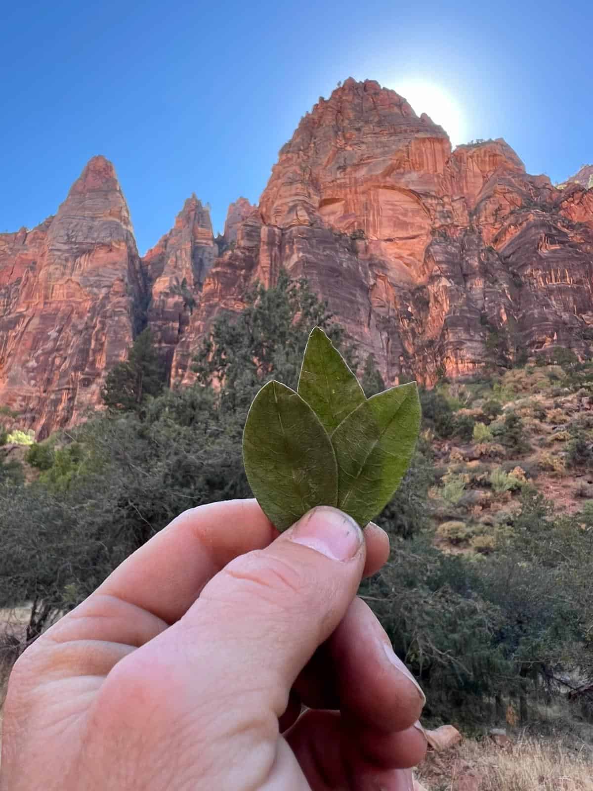 PHOTO 2024 10 01 22 30 06