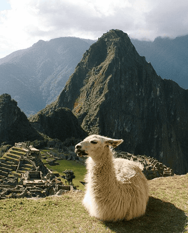 Machu Picchu caraosal 370 458 09
