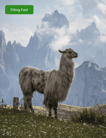 Home 15 home fillingfast April 26