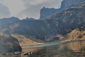 pitusiary2 pitusiary2