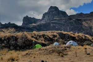 pitusiary3 pitusiary3