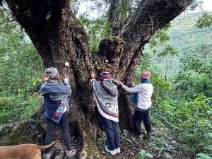 WhatsApp Image 2025 07 03 at 12.44.46 (2)